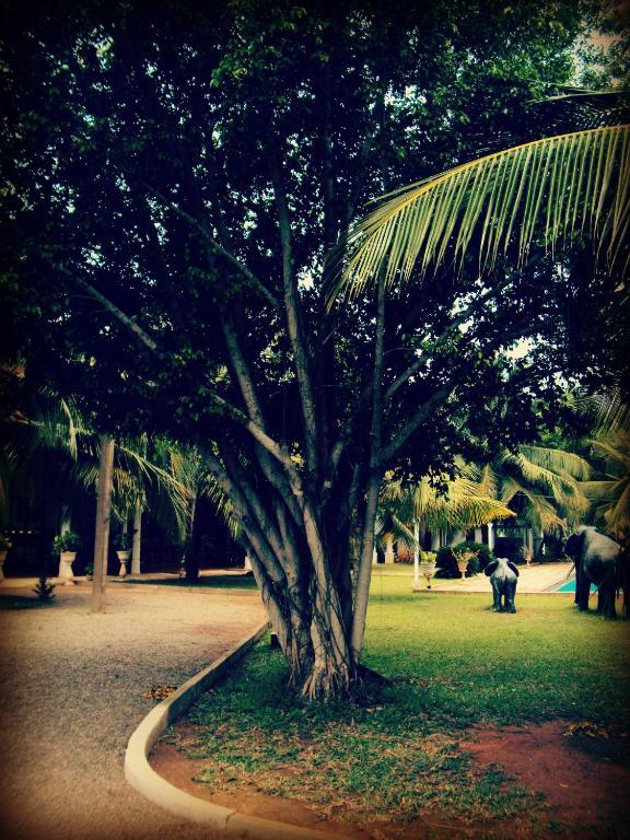 Hotel Lagoon Paradise Negombo Luaran gambar