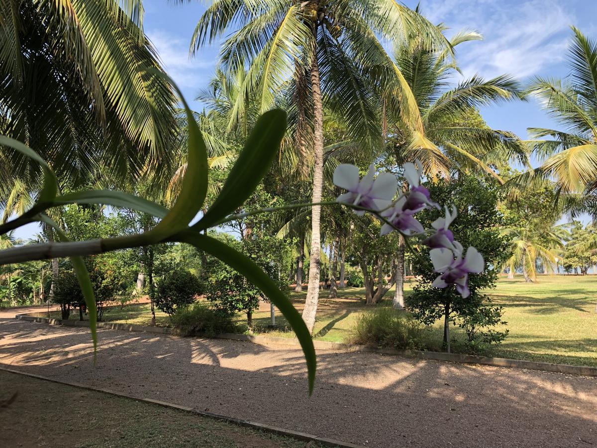 Hotel Lagoon Paradise Negombo Luaran gambar