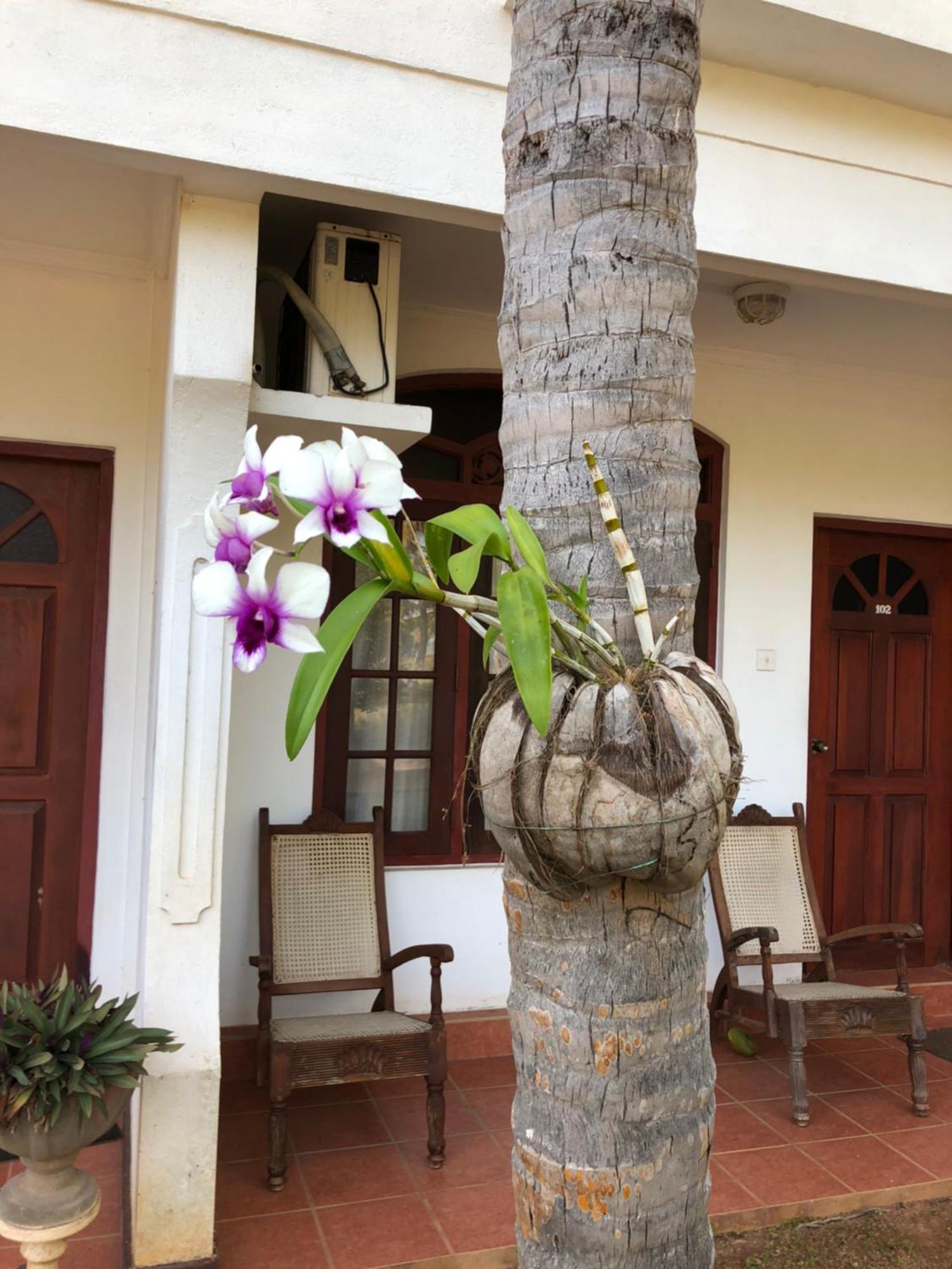 Hotel Lagoon Paradise Negombo Luaran gambar